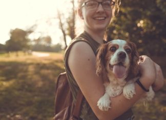 Making Cash with Man's Best Friend