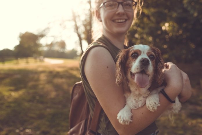 Making Cash with Man's Best Friend