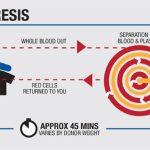 graphic-plasmapheresis